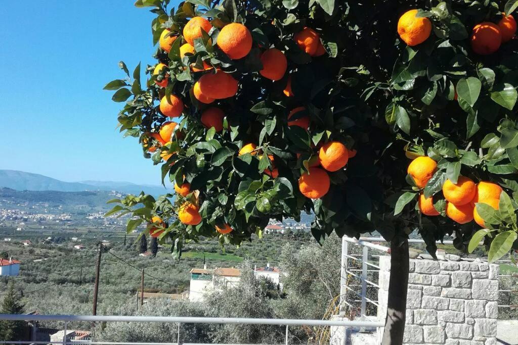 Nafplio, Hill With An Amazing View Apartment Екстериор снимка