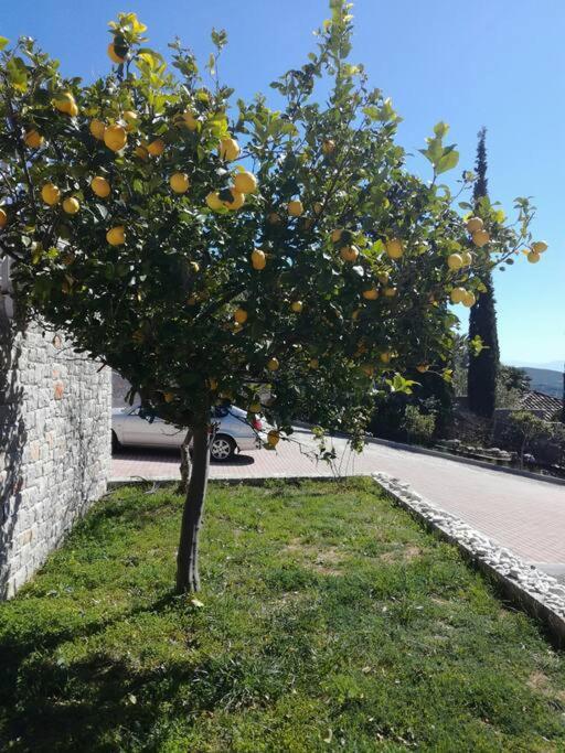 Nafplio, Hill With An Amazing View Apartment Екстериор снимка