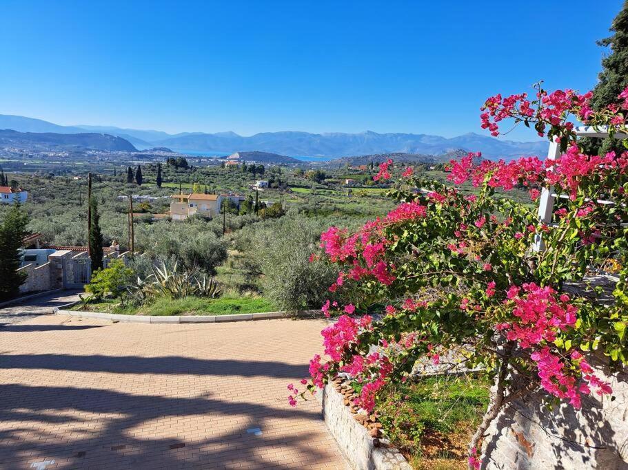 Nafplio, Hill With An Amazing View Apartment Екстериор снимка